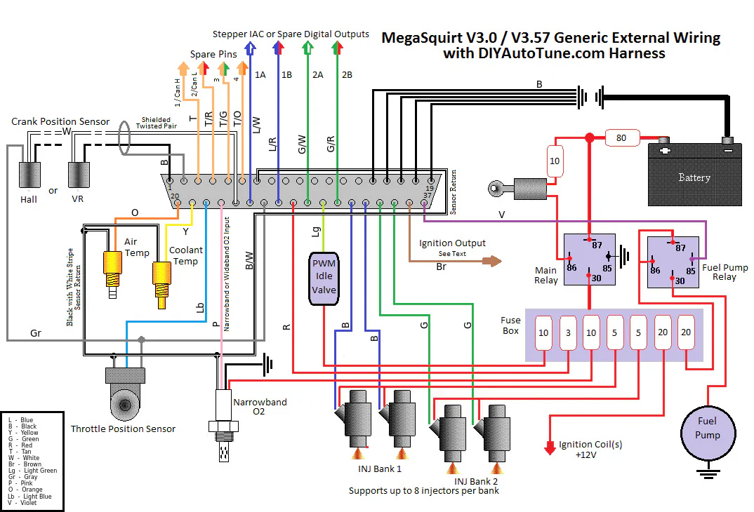 8′ MegaSquirt Wiring Harness (MS1/MS2/MS3 Ready) - Image 2